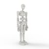 Mr Bones RC model Pilot (Stickybones replica) - STL